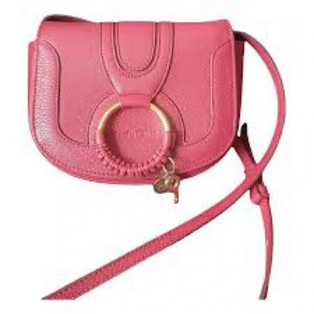 See by Chloé Hana Mini Suede & Leather Crossbody - Picture 5 of 14